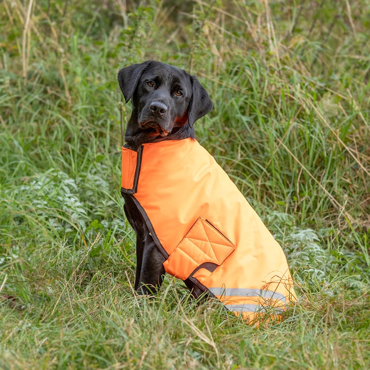 Benji &amp; Flo Reflector Waterproof Dog Coat by Hy Equestrian image 4